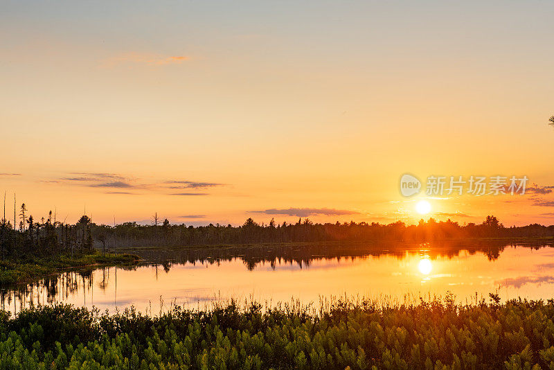 Muskoka Torrance Barrens暗天保护区和高地池塘，Gravenhurst，加拿大